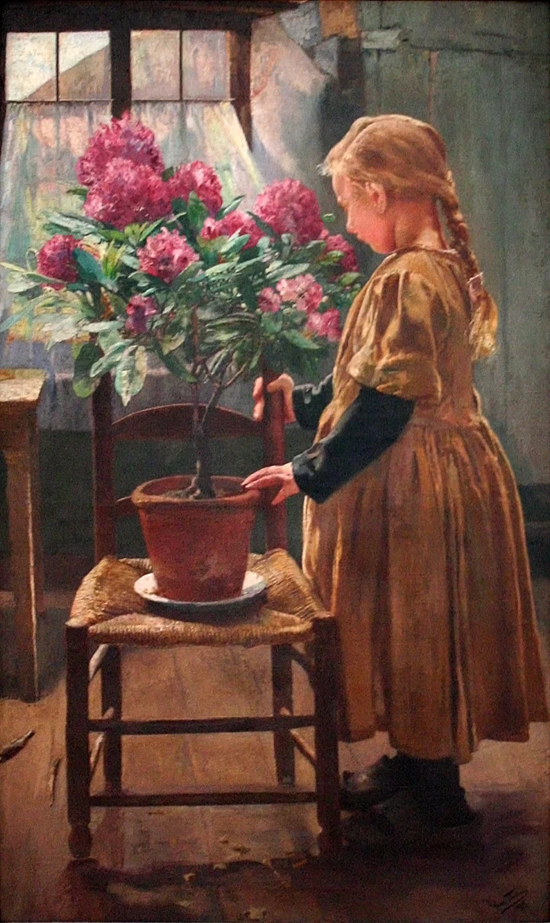 Rododendro in fiore - Koninklijk Museum voor Schone Kunsten Antwerpen